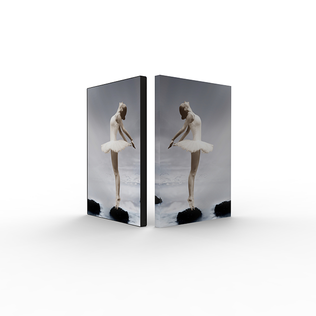 DH - WMF Aluminium SEG إدراج إطار صور للرسومات 